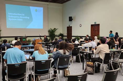 Ma. Concepcion Lotho introduces EBS at the AFACI advancement meeting on 08 September 2023 at the Umali Meeting Room, IRRI HQ.