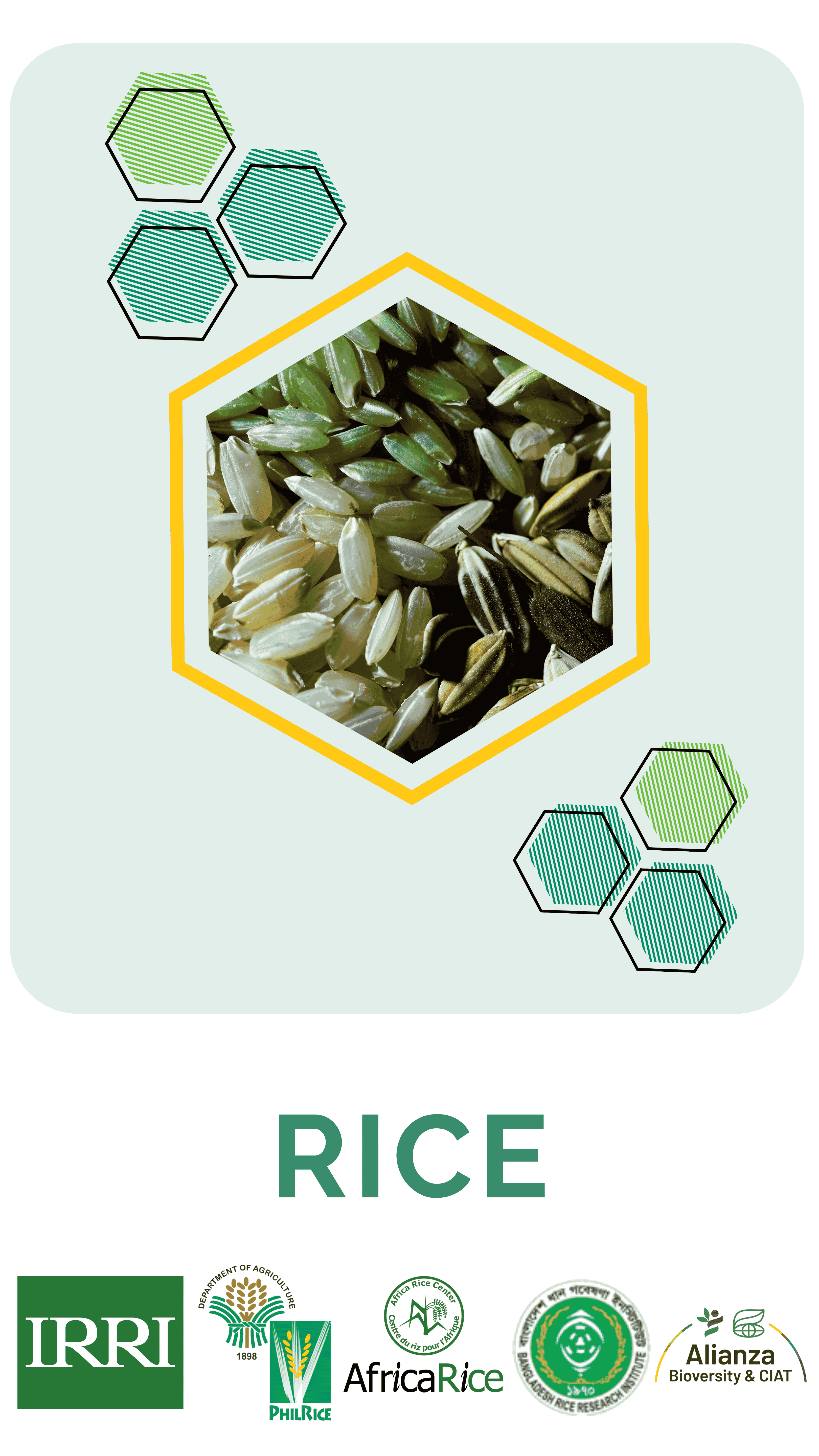 Rice 25.06